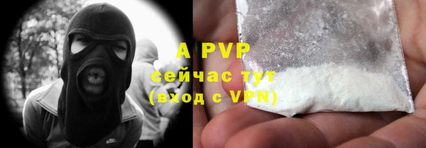 mdpv Богородицк